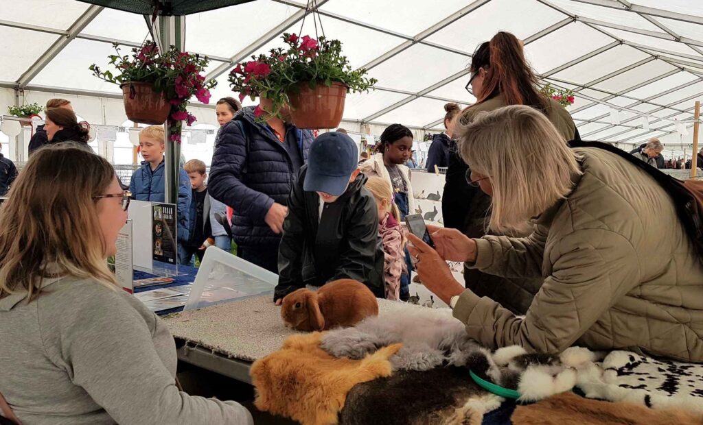 Mød Tine Kortenbach på Roskilde Dyrskue